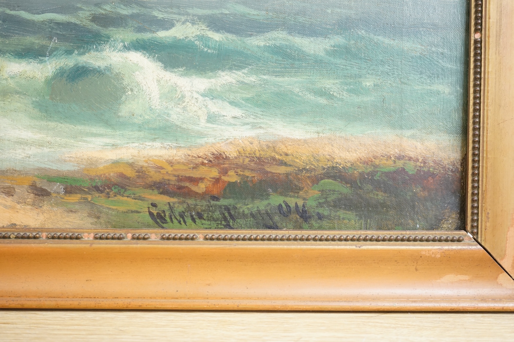 English School, early 20th century, Seascape, indistinctly signed and dated '04, oil on canvas, 49 x 75cm